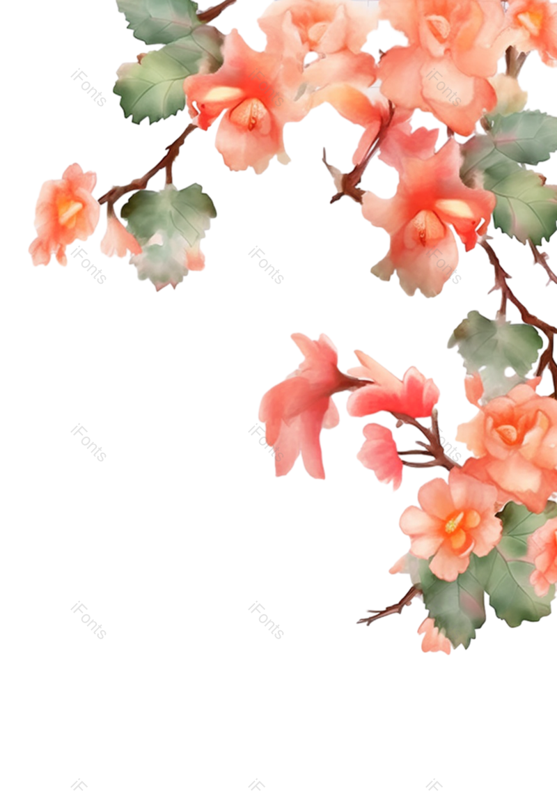 粉红色的花图片,白色背景元素,灰色背景PNG,免抠素材